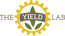 The Yield Lab Latam